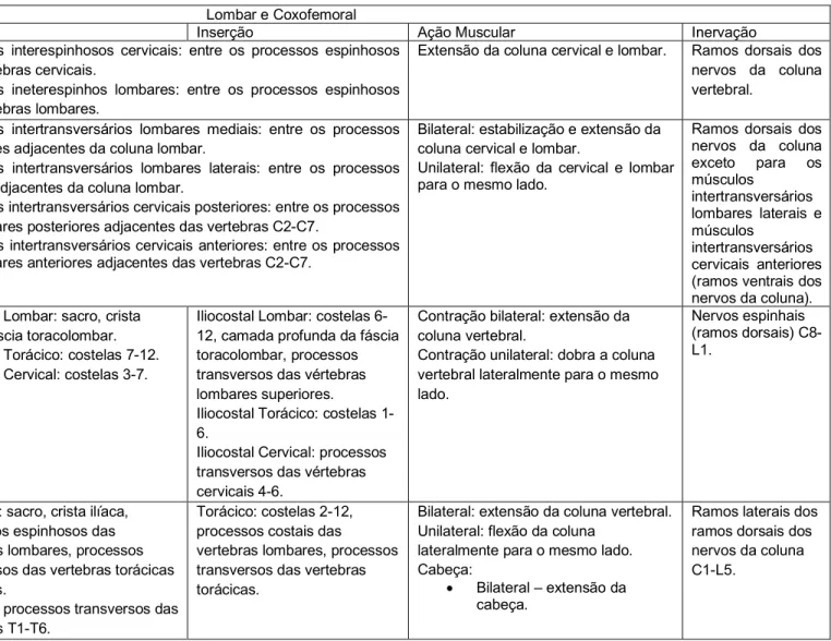 Tabela 5 - Miologia da Lombar e Coxofemoral  Adaptado de (Pezarat &amp; Pascoal, 2010) 