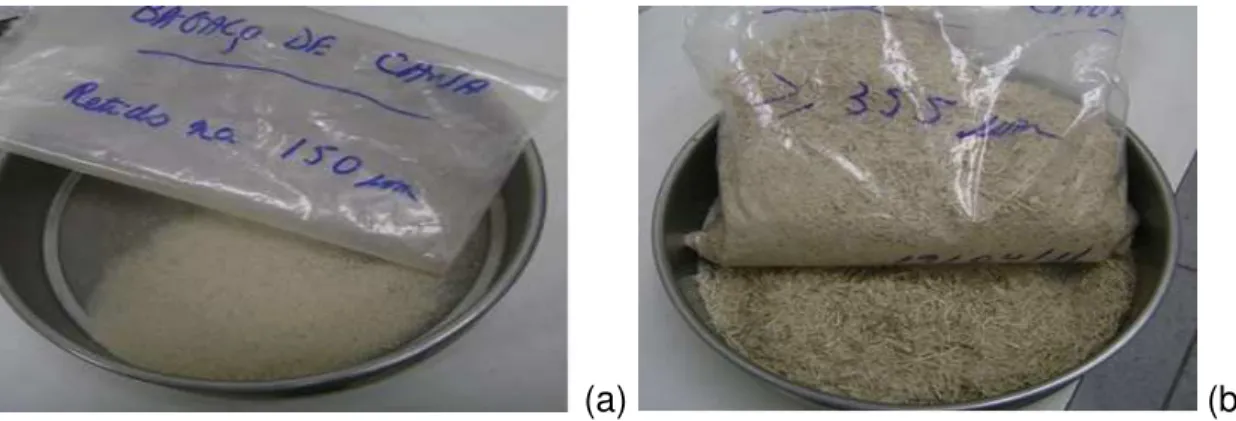 FIGURA  47.  Fotos  do  bagaço  de  cana-de-açúcar  após  segregação  nas  peneiras  granulométricas: (a) 150 µm e (b) 355 µm