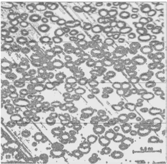 FIGURA  11.  Microscopia  óptica  da  estrutura  celular  de  uma  espuma  de  alta  densidade (escala 0,5 mm)  61 
