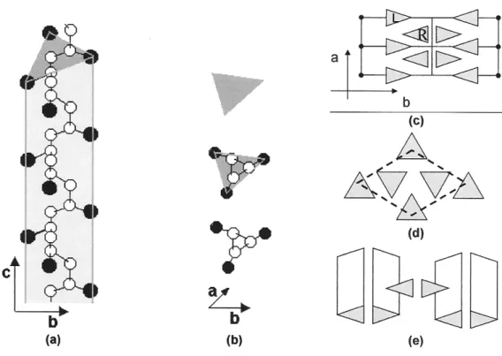 FIGURA 9. Representação esquemática da geometria espacial das metilas no plano (a)  bc  e  (b)  ab  e  dos  diferentes  tipos  de  células  cristalinas  do  iPP;  (c)  arranjo  cristalino  da  forma  ,  (d)  arranjo  cristalino  da  forma  ,  (e)  arranjo 