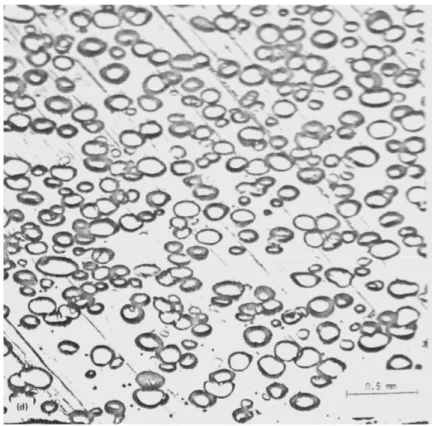 FIGURA  12.  Microscopia  óptica  da  estrutura  celular  de  uma  espuma  de  alta  densidade  (escala 0,5 mm)  61 