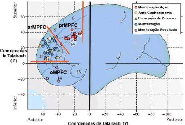 Figura 03: Divisão funcional do córtex pré-frontal medial: a porção mais  ventral ligada ao córtex órbito-frontal (oMPFC), cuja função primordial é a  monitoração do resultado da ação