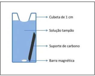 Figura  11.  Ilustração  do  procedimento  utilizada  no  experimento  de  cinética  enzimática