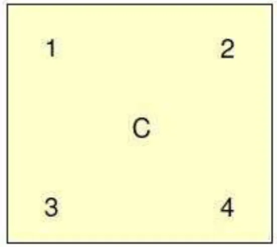 Figura 4- Esquema da placa para retirada de amostras. 