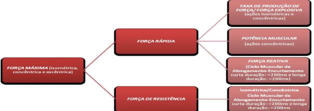 Figura 1. Formas de Manifestação da Força. Adaptado de Mil-Homens, P. (2015). 