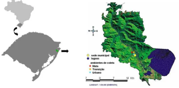 Figura  1.  Localização  dos  ambientes  de  coleta  no  município  de  Maquiné.  Litoral  norte do Rio Grande do Sul, Brasil.