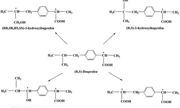 Figura 2. Metabolismo do ibuprofeno (GLOWKA; KARAZNIEWICZ, 2007). 