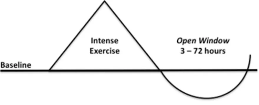 Fig  2.2.  The  Open  Window   concept  associated  w ith  acute  immune  responses  to  exercise  (adapted from Gleeson (2006), Hackney (2013), Mackinnon (2000), and Nieman (2000b)) 