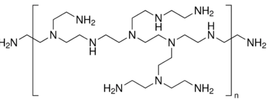 Figura 6. Estrutura química do polímero catiônico polietilenoimina (PEI), 25 kDa, ramificado