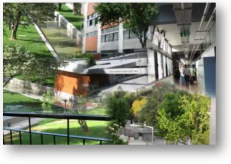 Figura 1 - Imagens da ESPAV 