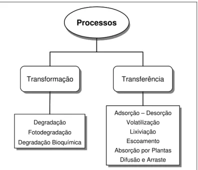 Figura I.3. Processos de transferência e transformação que determinam a dinâmica dos pesticidas no  solo