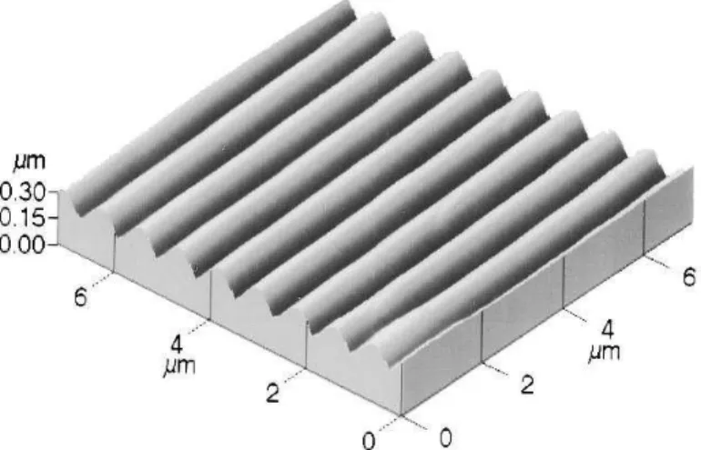 Figura 2.3  –  Imagem 3D de microscopia de força atômica de uma grade de relevo extraída da  Ref