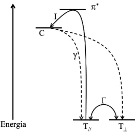 Figura 1.7- Diagrama de níveis de energia para os três estados do modelo de  reorientação fotoinduzida de Hore et al