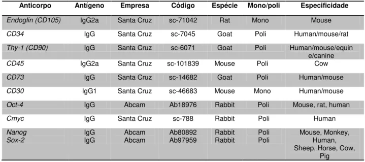 Tabela  1:  Especificação  dos  Anticorpos  primários  utilizados  nas  análises  imunofenotípicas  das  células-tronco  canina e felina (Concentração utilizada, 1:100)