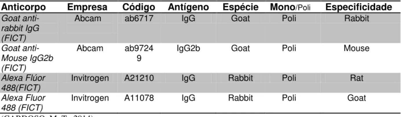 Tabela 2: Especificação dos Anticorpos secundários utilizados nas análises imunofenotípicas das células tronco  canina e felina.(Concentração utilizada, 1:300)