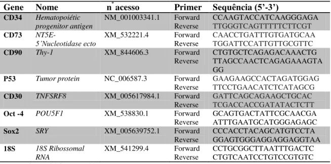Tabela  3: Especificação  dos  primers  utilizados  na  avaliação  de  expressão  de  genes  de  marcadores  hematopoiéticos, mesenquimais, carcinogênicos e de pluripotência de CT’s de cão