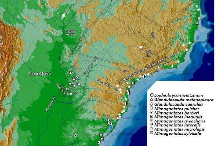 Figura 2. Distribuição das espécies de Glandulocaudini no Sudeste da América do Sul; áreas mais baixas, em região de planície, são representadas em verde e a área representada em marrom corresponde ao escudo cristalino brasileiro, de altitude mais elevada