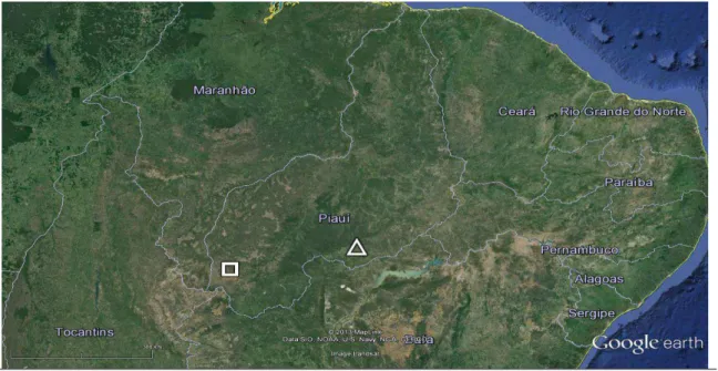 Figura 1: Posição geográfica da Fazenda Boa Vista, Gilbués (quadrado) e do Parque Nacional da Serra da  Capivara,  Coronel  José  Dias  (triângulo),  ambos  no  Estado  do  Piauí,  Brasil