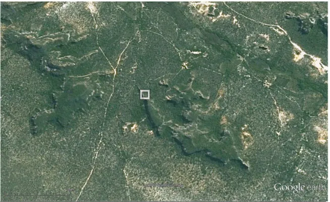 Figura 2: Imagem por satélite da Fazenda Boa Vista, Gilbués, PI. O quadrado indica o local aproximado  do experimento