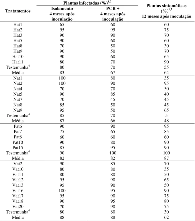 Tabela 1 – Porcentagem de plantas infectadas por X. fastidiosa, determinadas pelo isolamento em meio de  cultura e PCR e porcentagem de plantas com sintomas de clorose variegada dos citros em  plantas de laranja ‘Hamlin’(H), ‘Natal’ (N), ‘Pêra’ (P) e ‘Valê