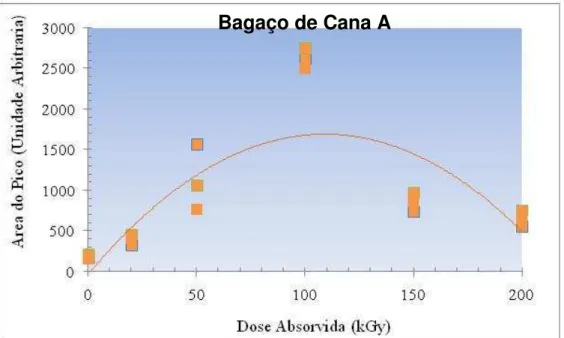 Figura 13.  Liberação de fenol na amostra de Bagaço A após irradiação                      em diferentes doses absorvidas 