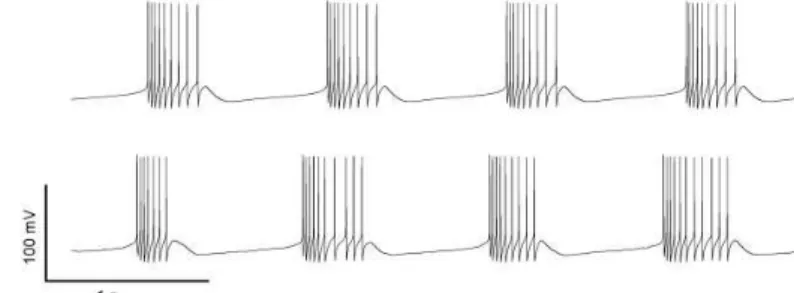 FIG . 2. Typical time series of the membrane potential obtained for the deterministic model (top) and for the  sto-chastic version (bottom)