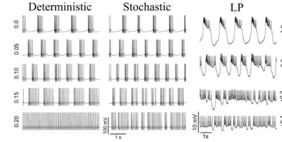 FIG . 5. Examples of the behavior of both model neurons and the LP under injection of a DC current (side labels in nA)