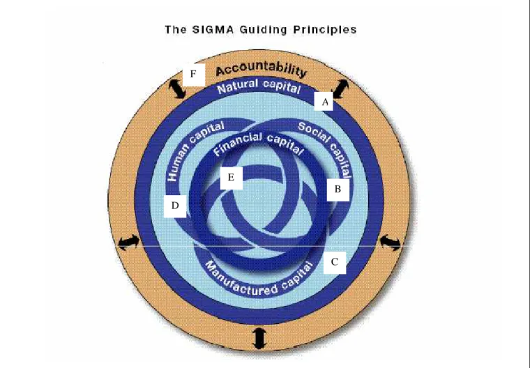 Figura 1: Os Princípios do método SIGMA Fonte: PROJECT SIGMA;The SIGMA Guidelines, 2005, p