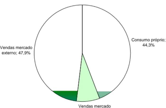 Gráfico 1 - Destino da Produção de Celulose em 2003 (fonte: BRACELPA, 2004, p.2.21)  