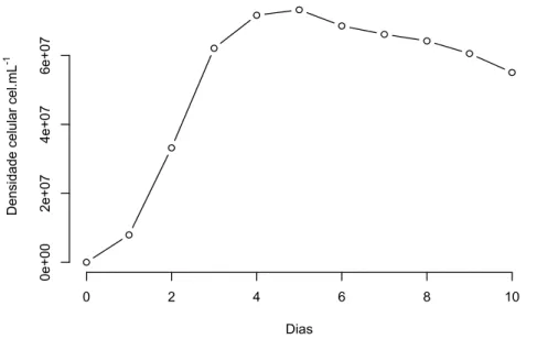 Figura 13. Curva de crescimento de Dunaliella tertiolecta obtida em 10 dias de  cultivo
