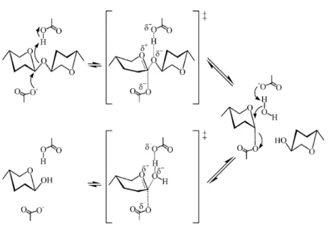 Figura 4: Mecanismo de reação das xilanases das famílias GH10 e 11. Adaptado  de Collins et al