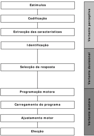 Figura 3 . Modelos contínuos de tratamento de informação (adaptado de Melo et al., 2002a) 