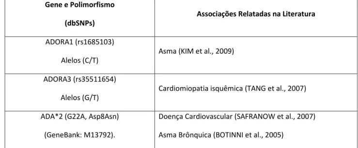 Tabela 1. Descrição dos polimorfismos selecionados para o estudo de associação com  as manifestações clínicas da Anemia Falciforme