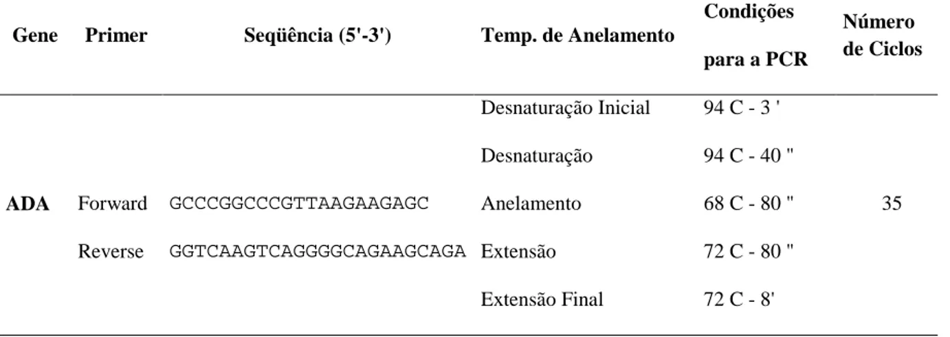 Tabela 5 - Condições de amplificação de PCR para a região polimórfica do gene ADA. 