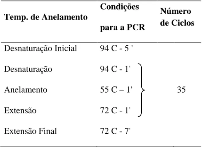 Tabela  6  -  Condições  de  amplificação  de  PCR  para  o  seqüenciamento  do  gene  ADORA  2B