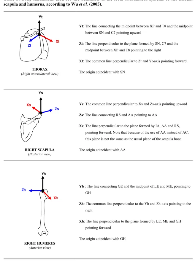 Table  3:  Bony  landmarks  used  for  the  definition  of  the  local  coordinated  systems  of  the  thorax,  scapula and humerus, according to Wu et al