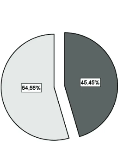 Figura 4: Percentagem de gestores segundo o escalão etário 