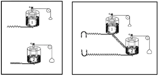 Figure 1.2. Von Holst’s mechanical model of biological rhythms generators (adapted from Turvey, 1990)