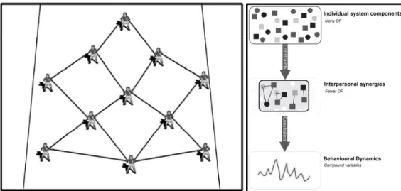 Figure 1.3. Social connectedness and interpersonal synergies within a football team. Imaginary strings  link  players  and  constrain  the  degrees  of  freedom  of  the  whole  team  (left  panel)  allowing  the  emergence  of  functional  interpersonal  