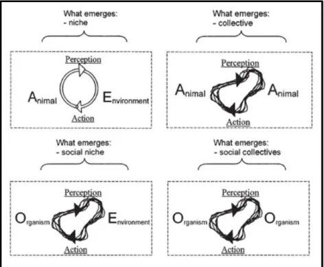Figure 1.5. Relational properties are defined over an animal–environment system in different levels of  systems  organisation