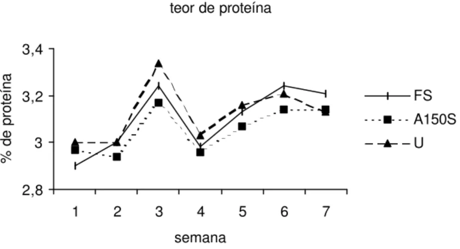 Figura 4 - Efeito dos tratamentos sobre o teor de proteína do leite durante o período experimental.