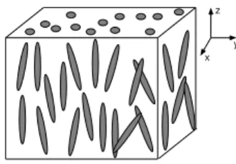Figura 1.1: Fase nem´atica uniaxial com eixo diretor na dire¸c˜ao z.