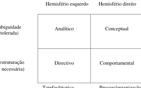 Figura 2: Modelo de estilos de tomada de decisão (Rowe, 1998) 