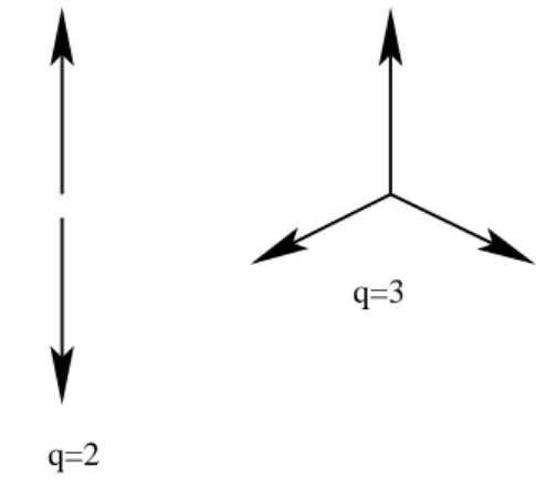 Figura 4.2: Caso q = 2 e q = 3 do modelo de Potts.