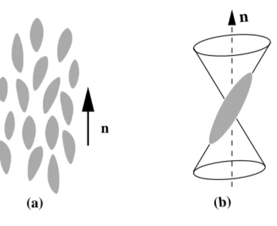Figura 4.4: (a) Representa¸c˜ ao de mol´eculas, tipo bastonetes, em uma fase nem´ atica; (b) Cada mol´ecula pode assumir qualquer valor de ˆ angulo s´ olido delimitado pela abertura de um cone.