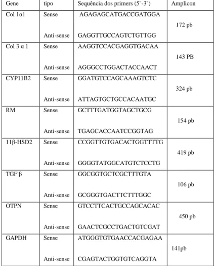 Tabela 2. Sequência dos oligonucleotídeos para os primers utilizados no RT-PCR. 