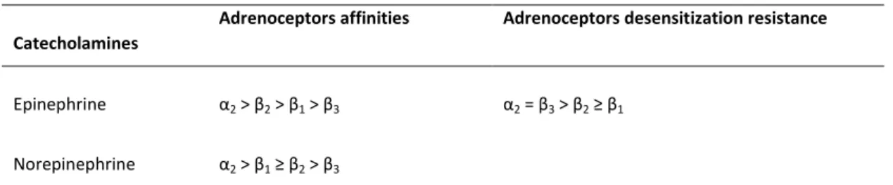 Table 2.3  – Adipocyte adrenoceptors affinities and desensitization characteristics, adapted from Lafontan and  colleagues (331)