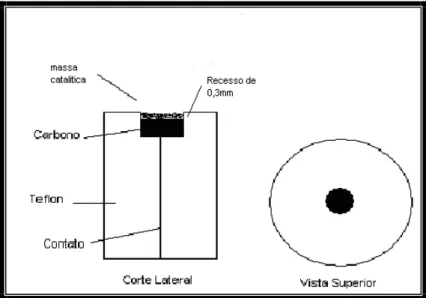 Figura 8 - Esquema do eletrodo de camada fina porosa e do método de aplicação dos  catalisadores 