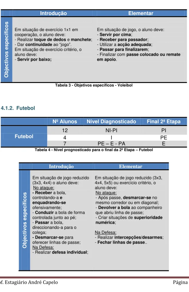 Tabela 3 - Objetivos específicos - Voleibol 