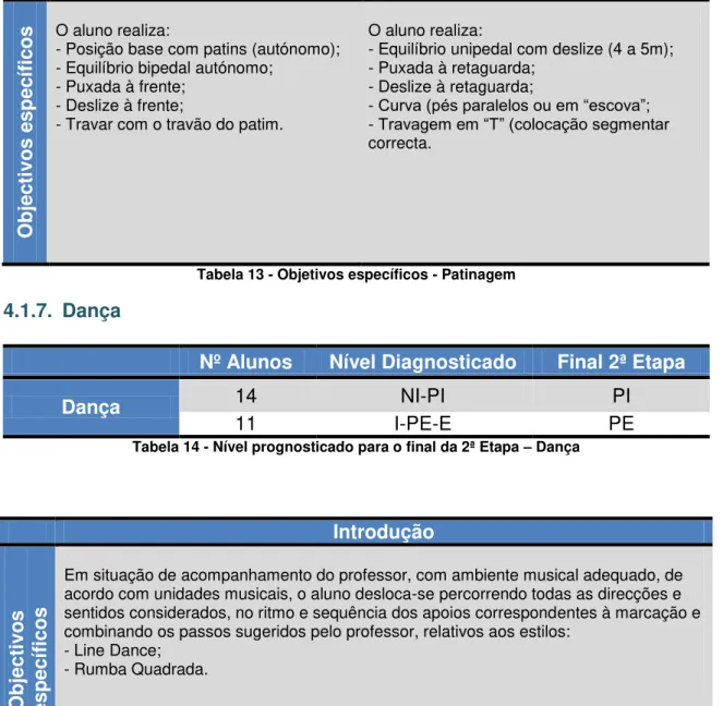 Tabela 13 - Objetivos específicos - Patinagem 